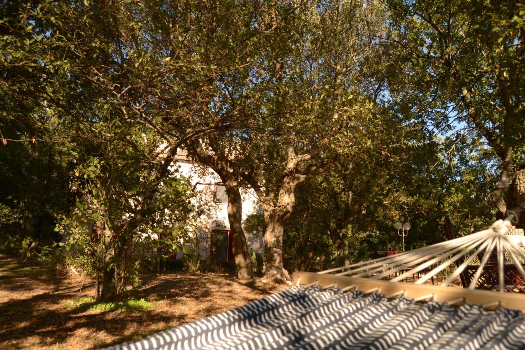 Par Tot Guest House Locorotondo Exterior photo