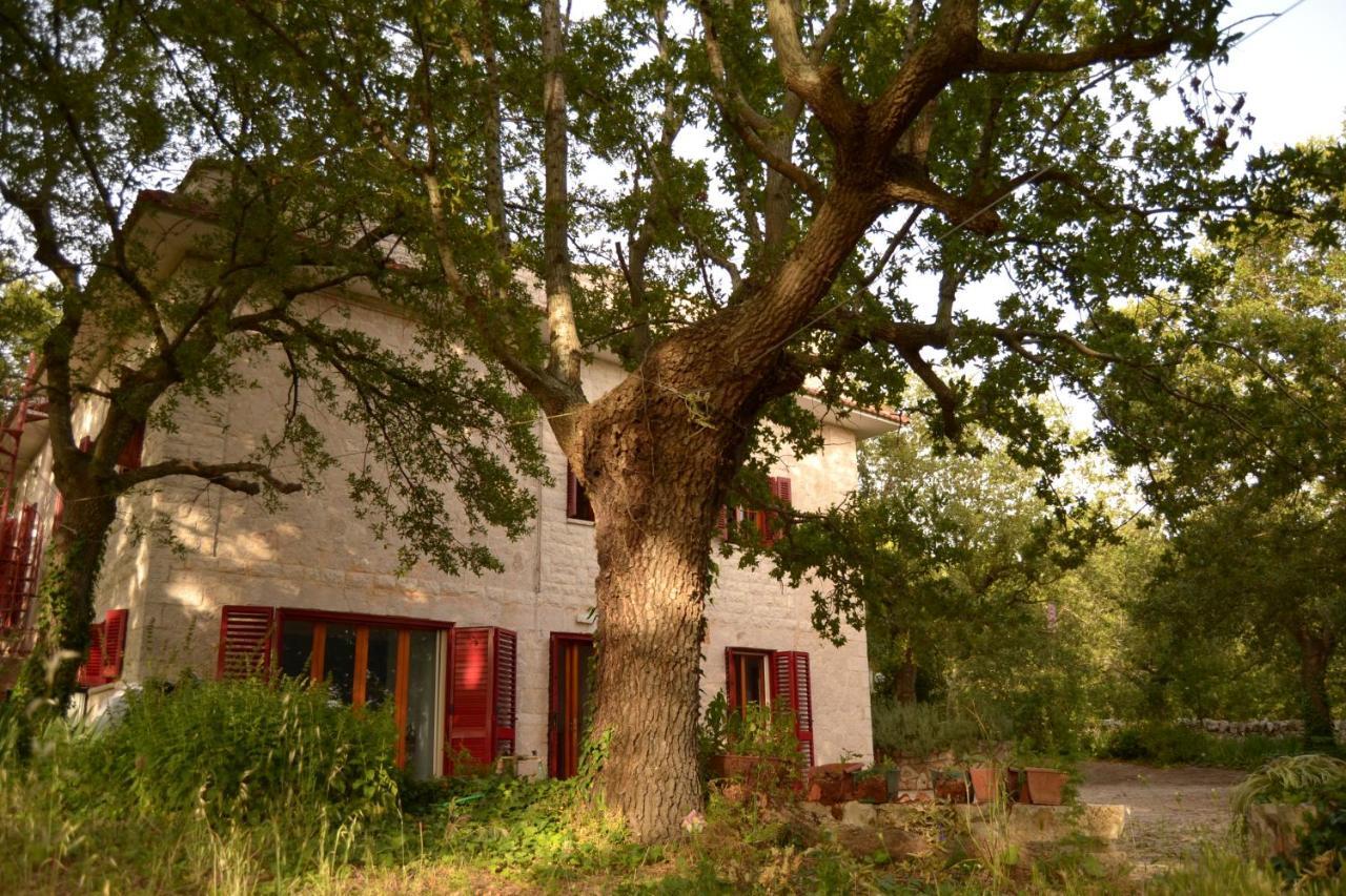 Par Tot Guest House Locorotondo Exterior photo
